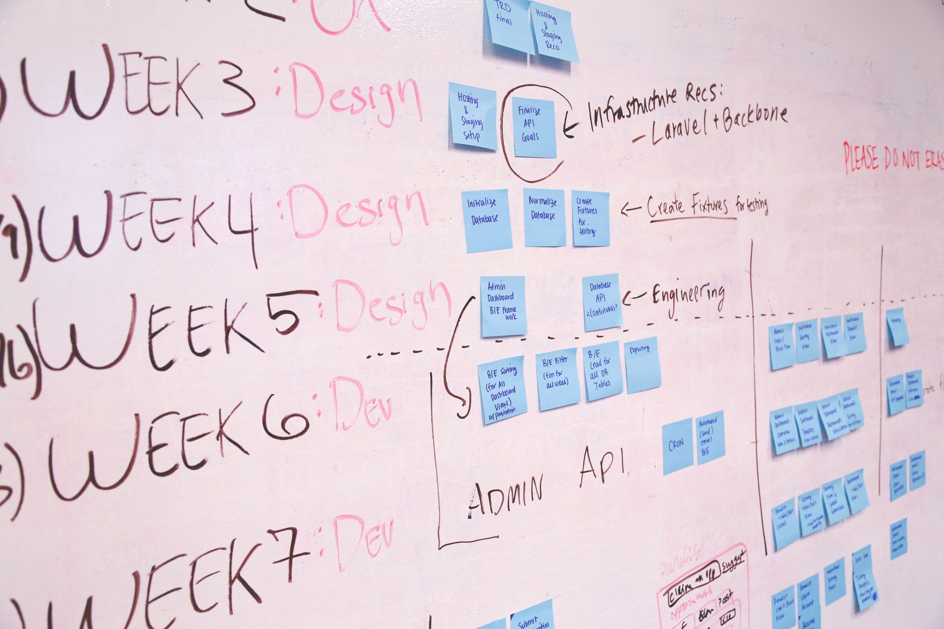CMS Website Development showcase